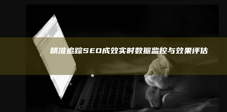 精准追踪SEO成效：实时数据监控与效果评估